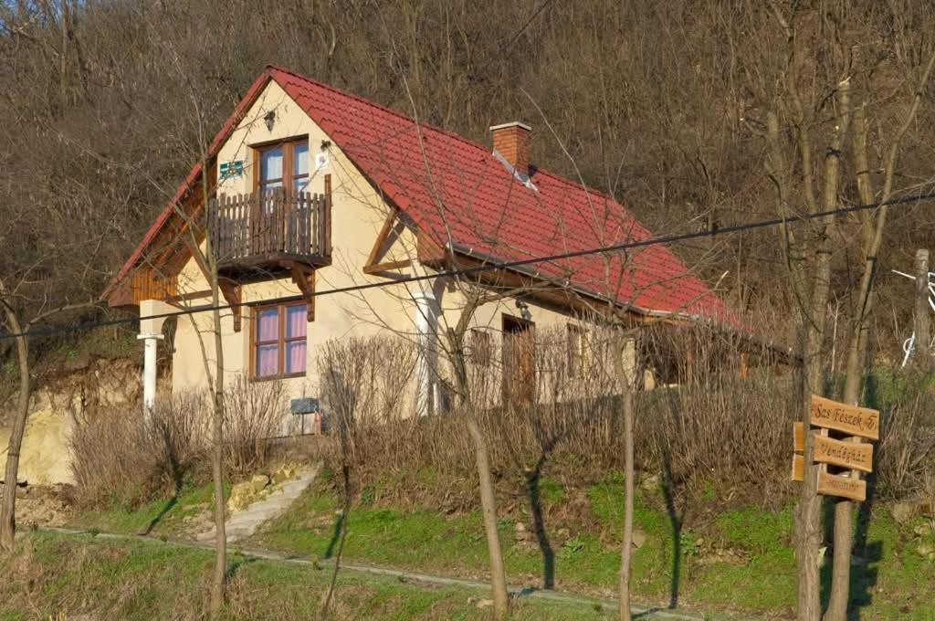 Sas-Feszek Vendeghaz Apartment Demjén Exterior photo